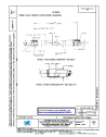 SAE AS 5961C:2025-11-17