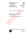 IEC TS 61231:1999