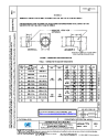 SAE AS 85049/75A:2021-10-13