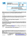 SAE AMS 4324C:2025-01-22