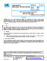 SAE AMS 6906D:2024-11-06