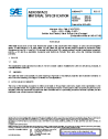SAE AMS 4408B:2024-05-17