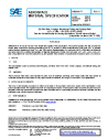 SAE AMS 6491G:2024-11-06