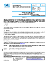 SAE AMS 4407B:2024-03-27