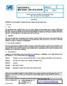 SAE AMS 6903:2024-04-25