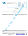 SAE AMS 3251J:2014-05-08