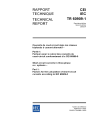 IEC TR 60909-1:2002