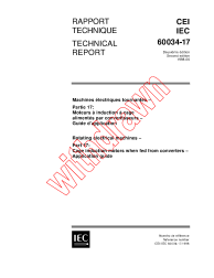 IEC TS 60034-17:1998