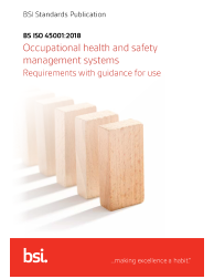 BS ISO 45001:2018