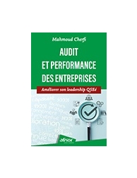 Audit et performance des entreprises - Améliorer son leadership QSEé