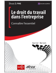 Le droit du travail dans l'entreprise - Connaître l'essentiel