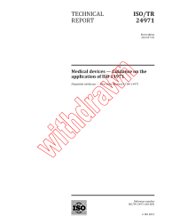 ISO TR 24971:2013