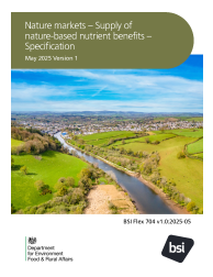 BSI Flex 704 v1.0:2025-05