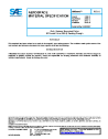 SAE AMS 3806G:2018-07-31