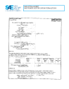 SAE CPKW 1_16FX691VE:2016-01-04