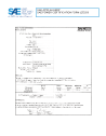SAE CPKW 2_19FXT00V:2018-04-13